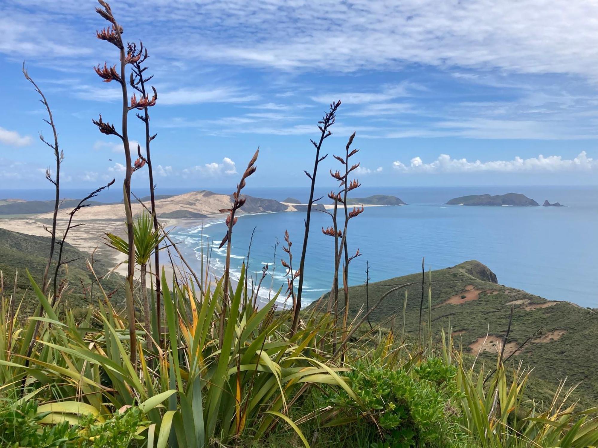 Far North Panorama Villa Kaingaroa Bagian luar foto